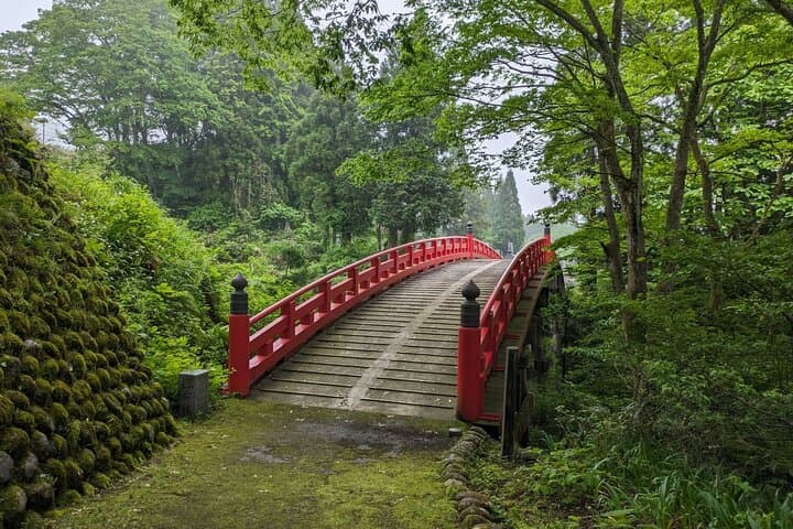 Walking Japan's Snow Corridor: Tateyama Murodo Day Tour from Kanazawa photo 5