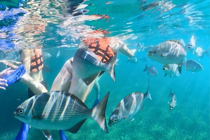 Jungle Speedboat, Mayan Ceremony & Reef Snorkel — Cancun Day Adventure photo 5