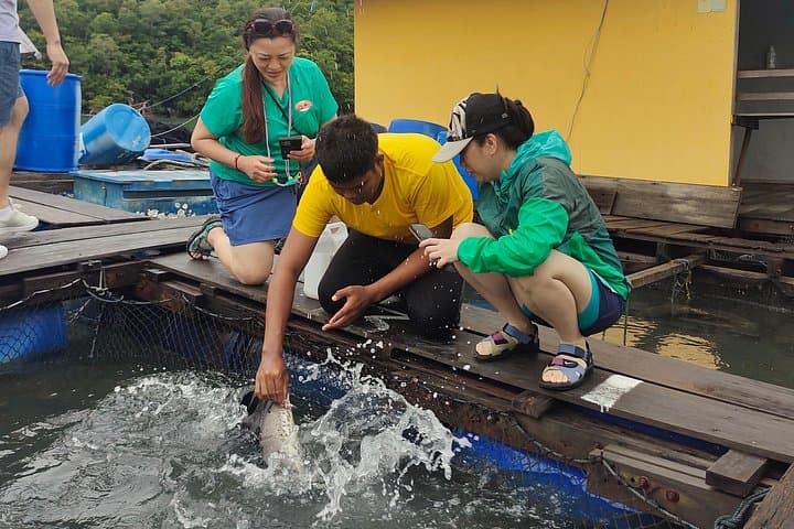 Langkawi Highlights Day Tour: ATV, Mangrove Cruise & SkyCab Adventure photo 2