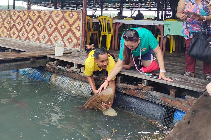 Langkawi Highlights Day Tour: ATV, Mangrove Cruise & SkyCab Adventure photo 3