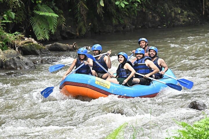 ubud-waterfall-swing-tegalalang-and-monkey-forest-day-tour photo 2