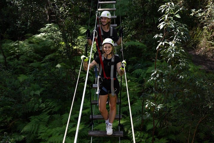 Tamborine Mountain TreeTop Challenge: Australia's Biggest Rainforest Zipline & High-Ropes Park photo 2