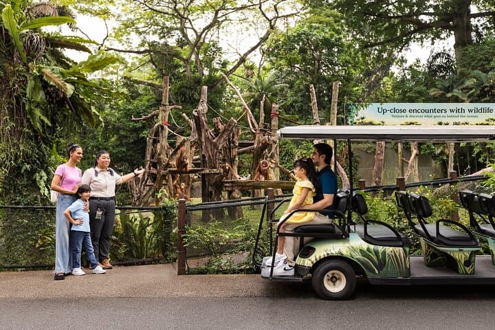 Singapore Zoo: Essential Guide to the Open-Concept Wildlife Experience photo 3