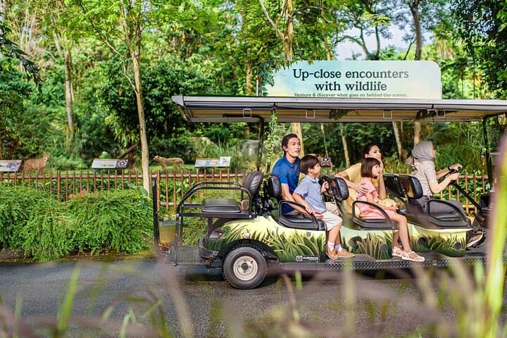 Singapore Zoo: Essential Guide to the Open-Concept Wildlife Experience photo 4