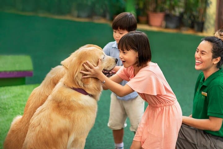 Singapore Zoo: Essential Guide to the Open-Concept Wildlife Experience photo 5
