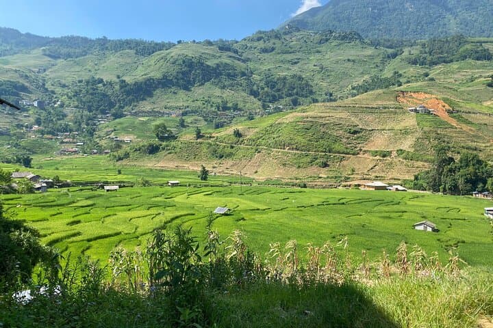 Private Sapa Trek: Y Linh Ho, Lao Chai & Ta Van in the Muong Hoa Valley photo 3