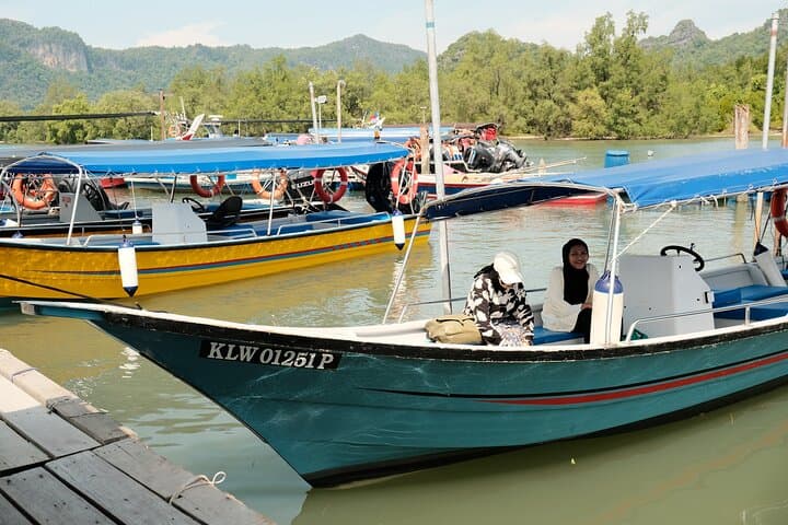 Langkawi Mangrove and Bat Cave Tour — Kilim Geoforest Boat Cruise with Seafood Lunch photo 5
