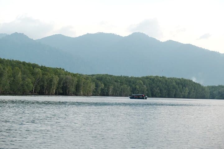 Langkawi Mangrove and Bat Cave Tour — Kilim Geoforest Boat Cruise with Seafood Lunch photo 4