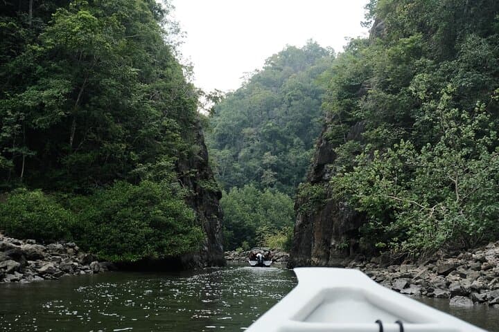 Langkawi Mangrove and Bat Cave Tour — Kilim Geoforest Boat Cruise with Seafood Lunch photo 2