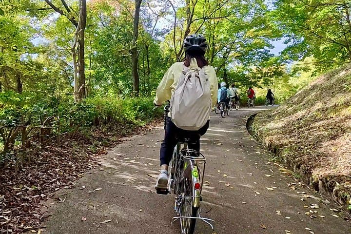 Cycle Asuka: E-Bike Tour of Japan’s Ancient Kofun and Temples photo 4