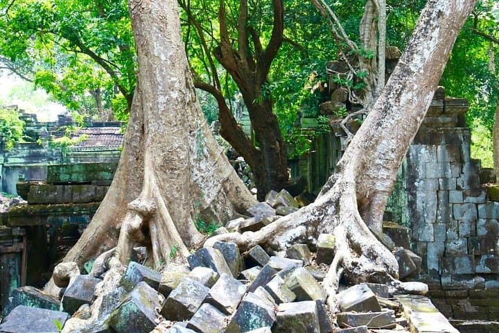 Beng Melea and Koh Ker: Full-Day Jungle Temple Tour from Siem Reap photo 3