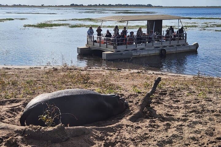 Chobe Day Safari & Africa’s Quadripoint: Elephants, Rivers and a Four-Country Walk photo 4
