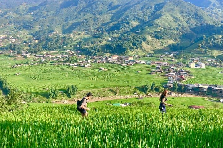 Discover Sapa: Half-Day Trek Through Muong Hoa Valley & Ta Van Villages photo 3
