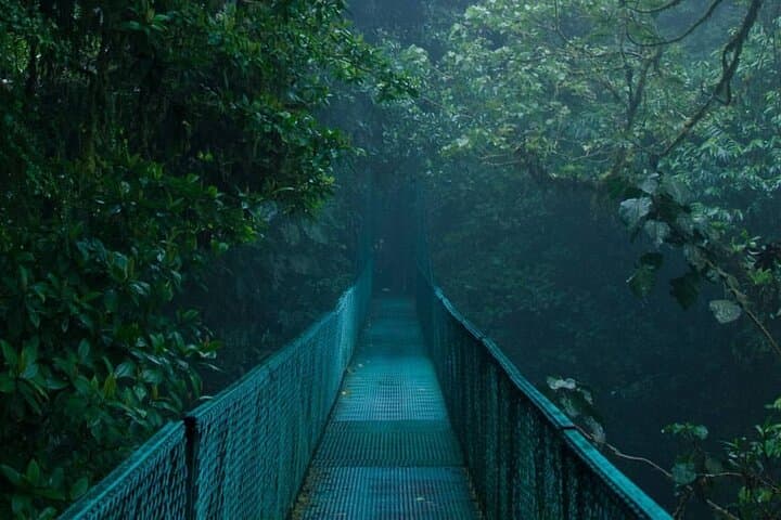 Monteverde Cloud Forest Hanging Bridges Nature Tour Guide