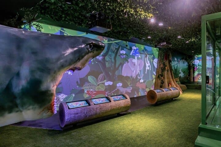 Exploring the National Aquarium Abu Dhabi: Al Qana's Marine Adventure photo 2