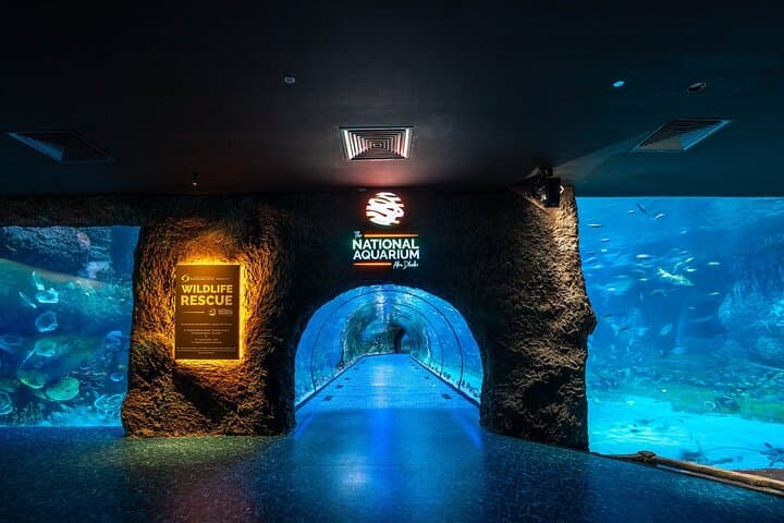 Exploring the National Aquarium Abu Dhabi: Al Qana's Marine Adventure photo 3