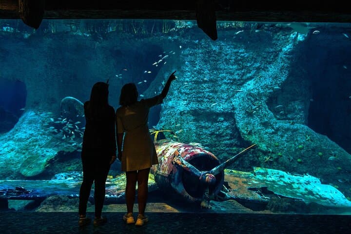 Exploring the National Aquarium Abu Dhabi: Al Qana's Marine Adventure photo 5