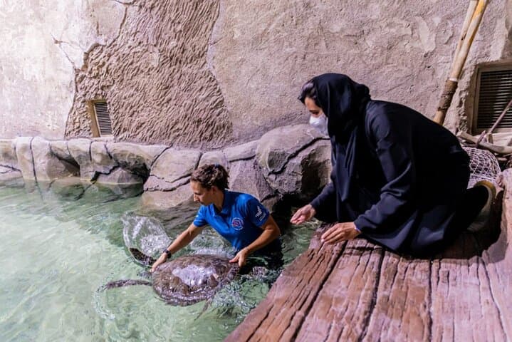 Exploring the National Aquarium Abu Dhabi: Al Qana's Marine Adventure photo 4