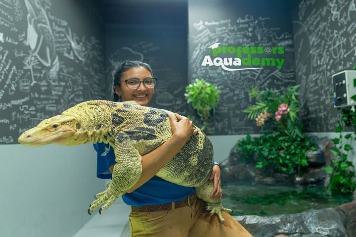 Exploring the National Aquarium Abu Dhabi: Al Qana's Marine Adventure photo 6