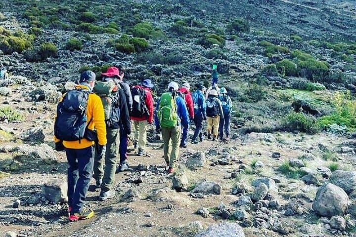 Kilimanjaro Day Hike: Marangu Route to Mandara Hut photo 6