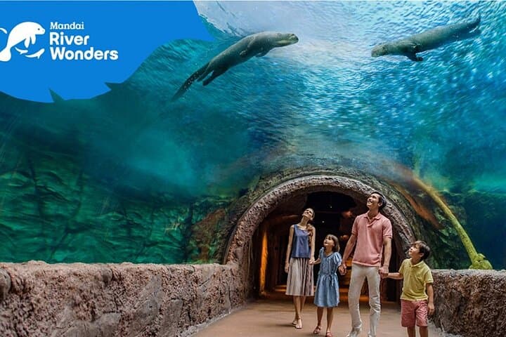 Singapore River Wonders Guide: Giant Panda Forest, Amazon Flooded Forest & Visitor Tips