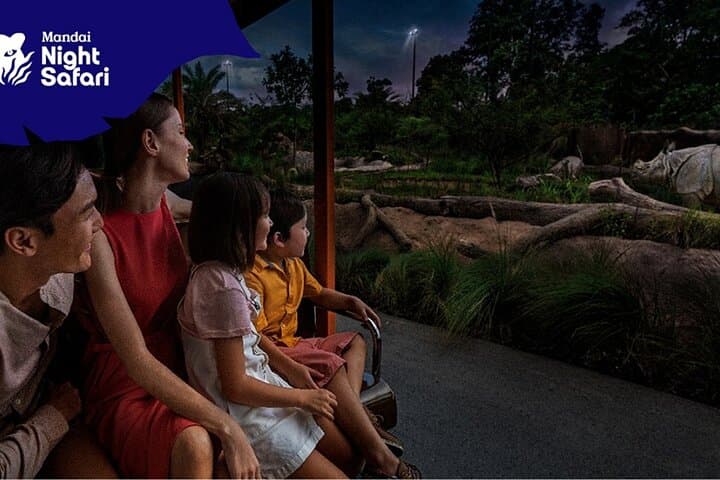 Singapore Night Safari: After-Dark Tram & Walking Trails for Wildlife Viewing