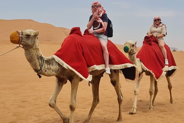 Private Dubai Desert Safari at Lahbab: Dune Bashing, BBQ & Live Shows photo 3