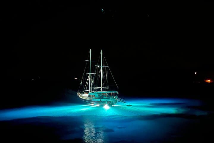 Seven-Day Gulet Charter Through Bodrum’s Hidden Aegean Bays photo 5