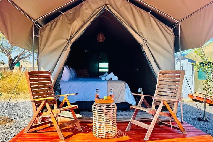 4-Day Pilanesberg Tented Safari from Johannesburg: Big Five in a Small-Group Glamping Experience photo 3