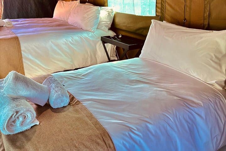 4-Day Pilanesberg Tented Safari from Johannesburg: Big Five in a Small-Group Glamping Experience photo 4