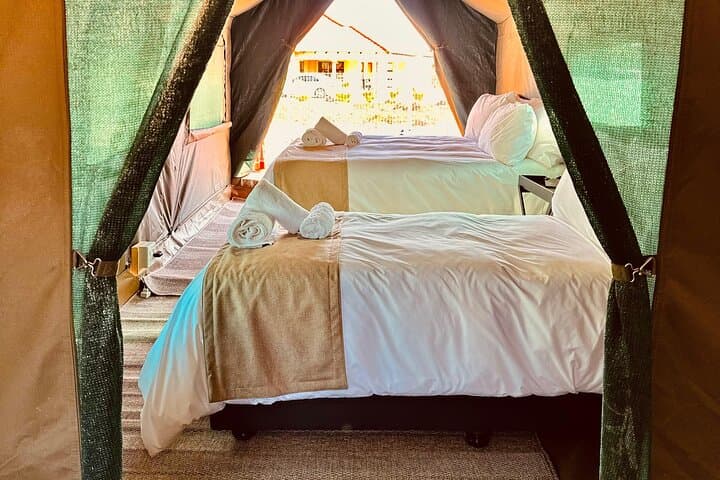 4-Day Pilanesberg Tented Safari from Johannesburg: Big Five in a Small-Group Glamping Experience photo 5