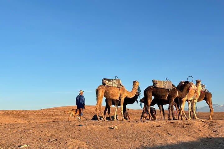 Private Agafay Desert Camel Ride from Marrakech — Sunset Agafay Tour