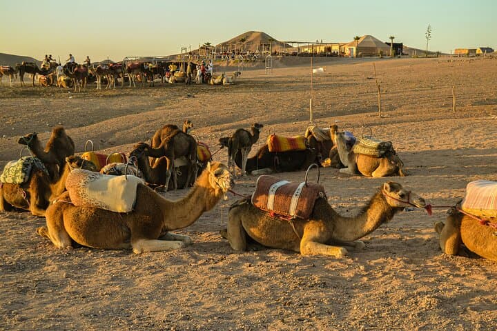 Private Agafay Desert Camel Ride from Marrakech — Sunset Agafay Tour photo 2