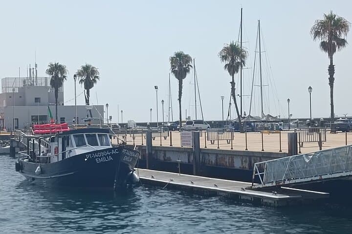 Cascais Coastal Secrets: 90-Minute Wine & Beer Cruise from Cascais Marina