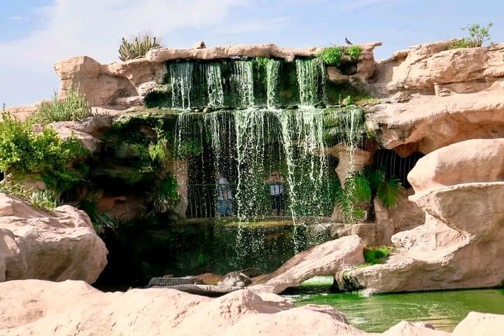 Crocoparc & Agadir's Tree-Climbing Goats: Half-Day Wildlife and Argan Oil Experience photo 2
