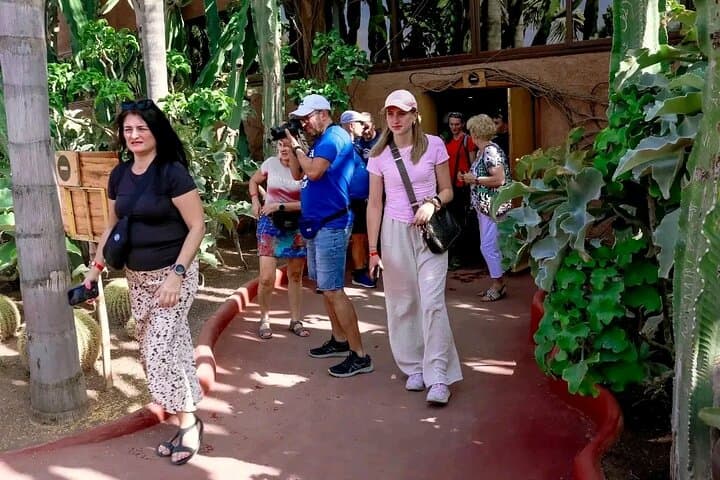 Crocoparc & Agadir's Tree-Climbing Goats: Half-Day Wildlife and Argan Oil Experience photo 5