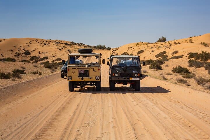 Overnight Sherpa Camp in Dubai Desert Conservation Reserve: Stargazing, Hawk Walk & Safari photo 4