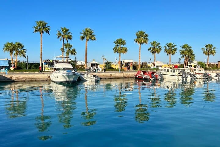 Hurghada City Tour: Marina Promenade, El Mina Mosque, Fish Market & Bowling photo 5