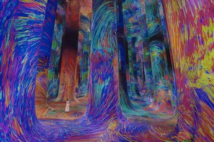 teamLab Phenomena Abu Dhabi: Immersive Digital Art Experience with Private Transfers