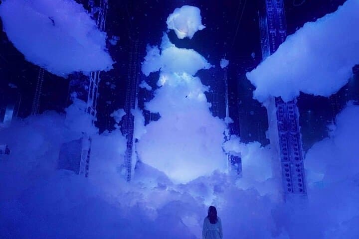 teamLab Phenomena Abu Dhabi: Immersive Digital Art Experience with Private Transfers photo 3