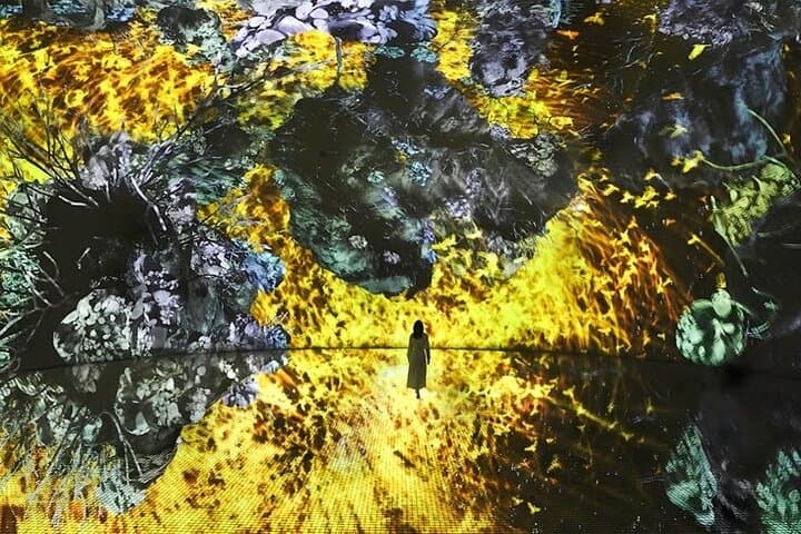 teamLab Phenomena Abu Dhabi: Immersive Digital Art Experience with Private Transfers photo 4