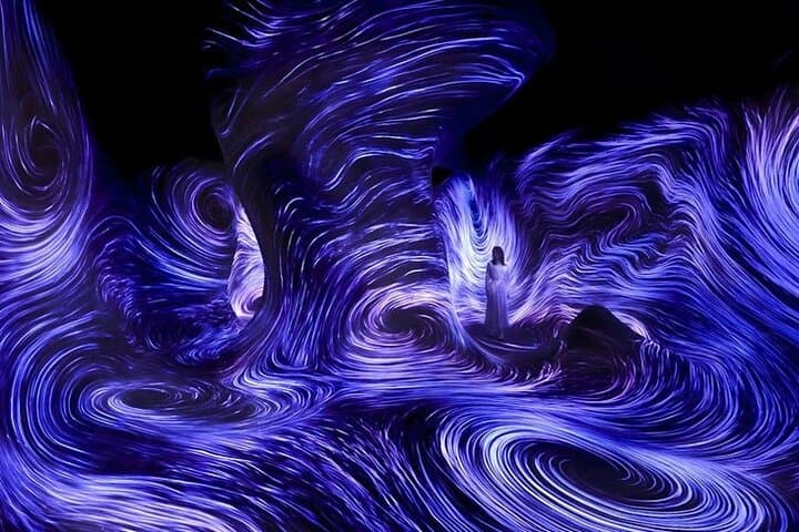 teamLab Phenomena Abu Dhabi: Immersive Digital Art Experience with Private Transfers photo 6
