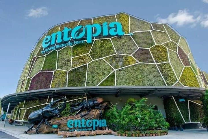 Entopia Penang: Walk Among 15,000 Butterflies and Discover Tropical Nature photo 2