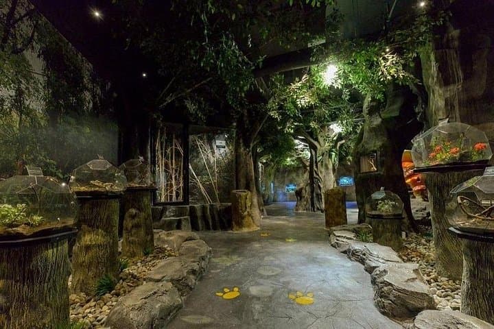 Entopia Penang: Walk Among 15,000 Butterflies and Discover Tropical Nature photo 3