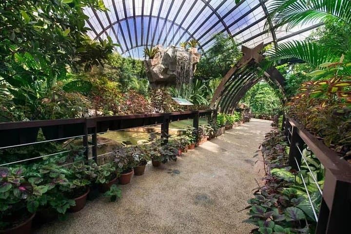 Entopia Penang: Walk Among 15,000 Butterflies and Discover Tropical Nature photo 1