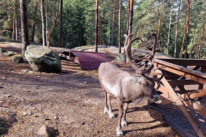 Nuuksio National Park Private Reindeer Farm Tour from Helsinki photo 2