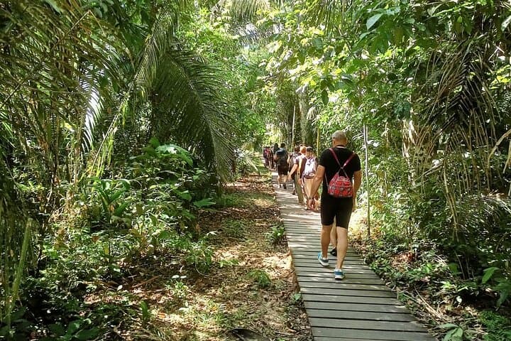 Tambopata Amazon 4-Day Wildlife & Canopy Lodge Adventure photo 3