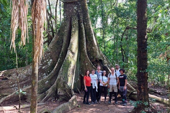 Tambopata Amazon 4-Day Wildlife & Canopy Lodge Adventure photo 4