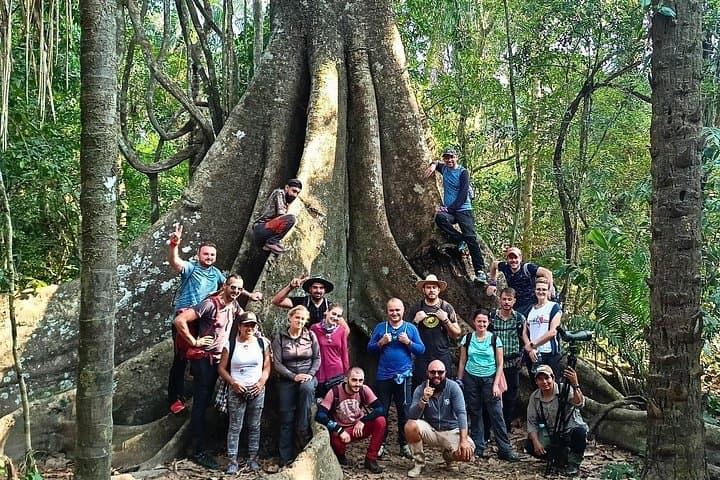 Tambopata 4-Day Amazon Wildlife Tour: Chuncho Macaw Clay Lick & Sandoval Lake photo 2