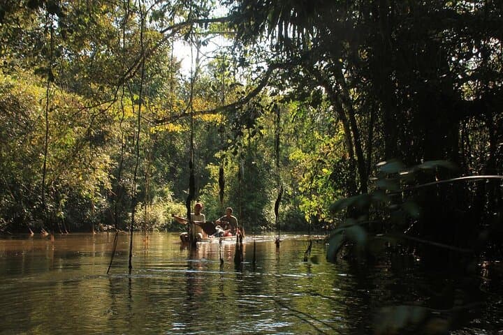 4-Day Amazon Jungle Expedition in Pacaya Samiria: Boat, Wildlife & Local Lore